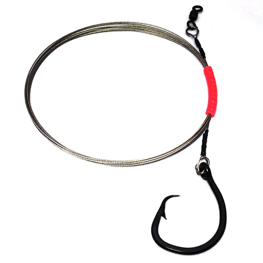 cirlce hook palcement for shark fishing Shark Rig